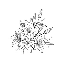 Hand drawn simple lily flower outline