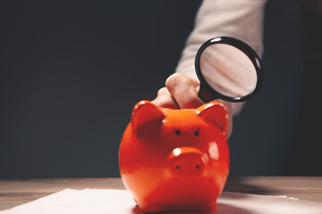 Wall Mural - piggy bank with magnifier ..