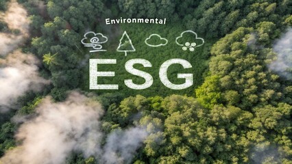 Poster - Understanding the 4 ESG Framework An In depth Exploration of Environmental Social and Governance Factors Influencing Investment Decisions Today
