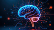 © Tameem - Computer graphic illustration of artificial general intelligence (AGI) brain with glowing blue circuitry against dark backdrop.