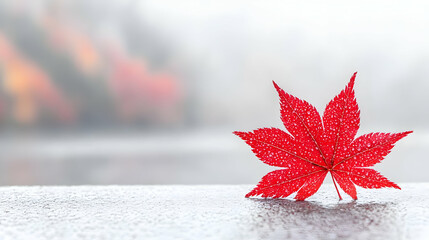 red maple leaf on frosty surface, autumn park background; nature card