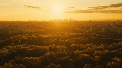 Wall Mural - Golden sunset over a city skyline with lush green forests in the foreground, creating a serene atmosphere