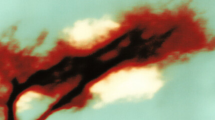 Poster - Abstract digital artwork of red and black brush strokes on soft turquoise background