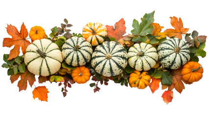 Leinwandbilder - Orange pumpkins nestled among golden autumn leaves forming seasonal horizontal border on isolated transparent background