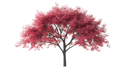 Poster - Pink tree 3D rendering, translucent background, detailed realistic model for graphic design and architectural visualization purposes