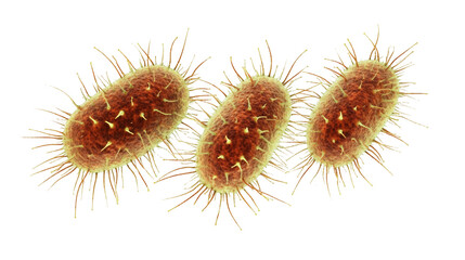 Leinwandbilder - Microscopic bacteria with pili revealing intricate structural details, illuminating cellular connections on transparent scientific backdrop