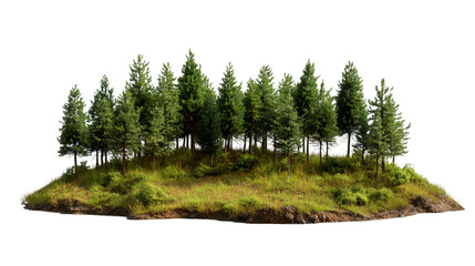 Poster - Lush green forest thrives on a small floating island, isolated with a transparent background, perfect for digital compositing and creative projects