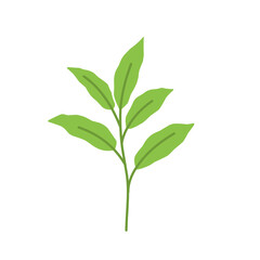 simple green leaf illustration