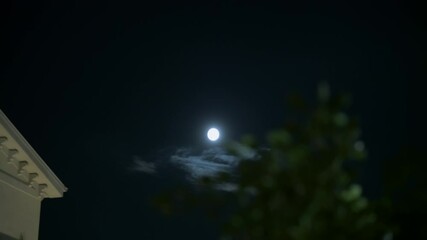 Wall Mural - Moon shines over the white house in the evening with a full moon in the sky. Dark sky above has a visible moon with soft glow. Tree branches frame the top of the image. The atmosphere feels calm and
