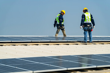 Wall Mural - team of professionals installs solar panels, ensuring energy efficiency and sustainable development.