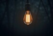 © Adeteye Adeniyi - A glowing filament lightbulb against a dark background. Warm light contrasts with shadows, highlighting its vintage design. A simple, striking composition with an atmospheric feel.
