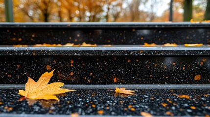 Canvas Print - Autumn leaves on wet park stairs