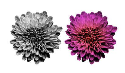 Aufkleber - A Flower in halftone style illustration with a transparent background. Bold color and a retro, graphic print aesthetic. Ideal for poster and collage design element