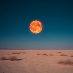 Wall Mural - moon over the desert