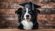 © Olga - Adorable dog wearing graduation cap against wooden background