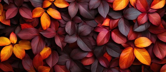 Fototapete - Colorful autumn leaves in shades of red, orange, and maroon layered as a textured background with ample space for text and seasonal themes.