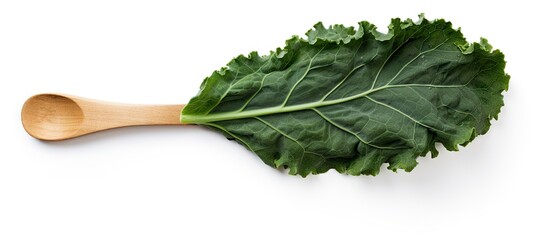 Poster - Fresh green kale leaf resting on a light wooden spoon against a clean white background, showcasing its textured surface and vibrant color.
