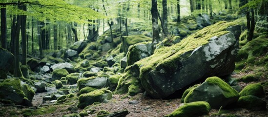 Aufkleber - Moss-covered rocks in a vibrant green mountainous forest displaying a mix of stone and lush vegetation with a serene rugged terrain backdrop