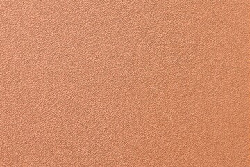 Poster - Orange textured background with subtle pattern.
