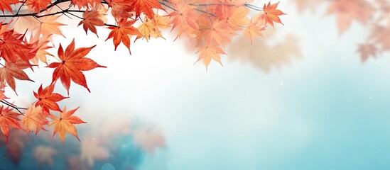Leinwandbilder - Vibrant red and orange maple leaves cascading from the left side against a soft blue and white blurred background in a serene autumn setting