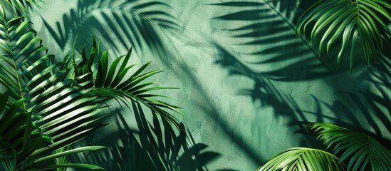Aufkleber - Lush green background with vibrant palm leaves casting intricate shadows against a textured teal backdrop highlighting nature's elegance