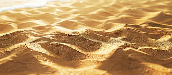 Poster - Golden sandy beach texture with wet patterns on a beige background, gentle undulations and natural copy space for design purposes.