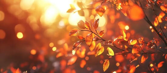Fototapete - Autumn foliage close up with vibrant red and yellow leaves illuminated by warm sunlight, creating a bokeh effect in the background.