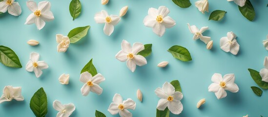 Aufkleber - White jasmine flowers with green leaves scattered on a soft blue background creating a serene and fresh springtime atmosphere for decor.