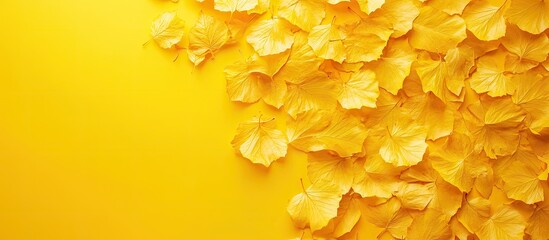 Aufkleber - Panoramic autumn banner with scattered yellow maple leaves on vibrant yellow background creating a warm fall atmosphere perfect for presentations