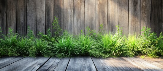Aufkleber - Lush green grass growing in vibrant patches against a rustic wooden wall with soft sunlight illuminating the scene creating a tranquil atmosphere.