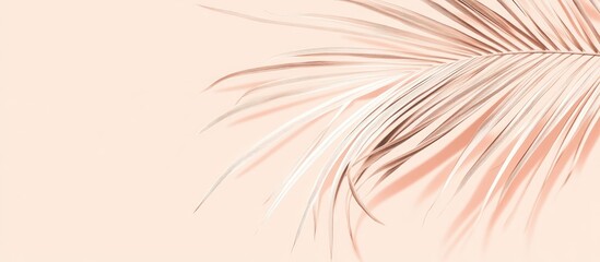 Aufkleber - Palm frond arranged in the top left corner against a soft peach backdrop exuding a summer vibe with a natural minimalist flat lay aesthetic