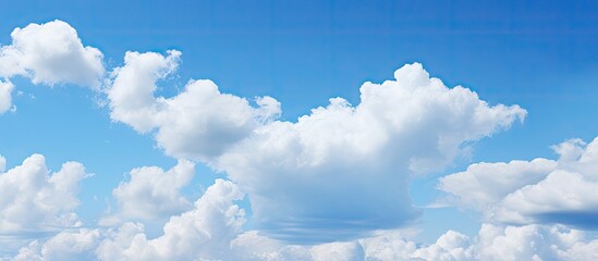 Poster - Vibrant blue sky filled with fluffy white clouds scattered across the top in a serene atmosphere creating a tranquil outdoor backdrop