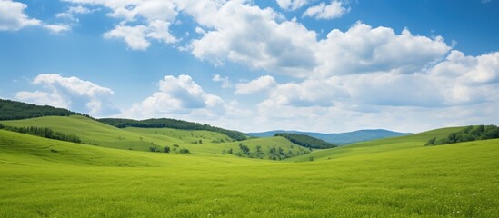 Aufkleber - Vast green meadow in a mountain park under a bright blue sky dotted with fluffy clouds, with rolling hills in the background.
