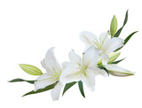 White Lily flower bouquet isolated on transparent background