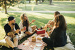 © polinaloves - Happy people having picnic with hot dogs and cold drinks, sitting on a plaid in a park.