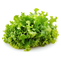 Wall Mural - Fresh green lettuce salad isolated on white background. Healthy food concept.