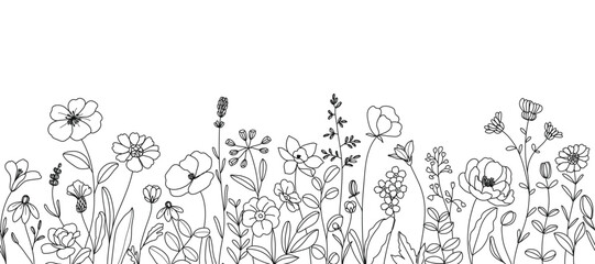 Wall Mural - spring and summer flower pattern seamless background vector. hand drawn botanical floral line art, d