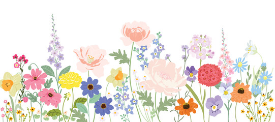 Wall Mural - spring and summer flower pattern seamless background vector. hand drawn botanical floral, daisy, wil
