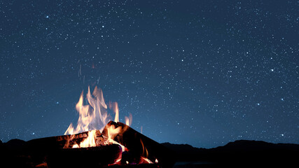 Wall Mural - a bonfire burns at night against the background of mountains and sea with bright stars...