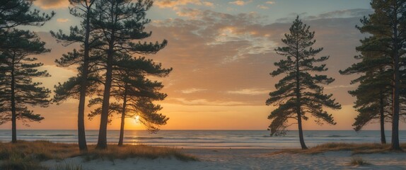 Poster - Serene Sunset Over Beach Framed By Pine Trees With Clear Space For Text And Copy In A Tranquil Coastal Setting