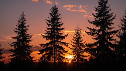 Poster - Pine Trees Silhouette Against Vibrant Sunset Sky Natural Landscape Scene
