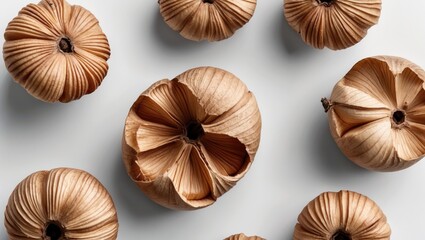 Poster - Natural candlenuts arranged artistically on a white background showcasing their unique texture and shape in a minimalistic setting.