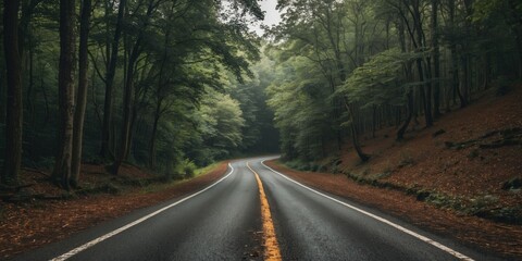 Poster - Winding Road Through Dense Forest Surrounded By Lush Greenery With Space For Text Overlay