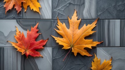 Poster - Autumn leaves in vibrant colors on gray textured tiles creating a seasonal and artistic decor for interior design inspiration.