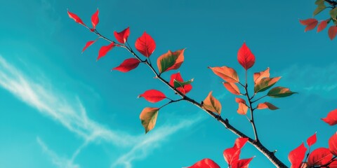Poster - Colorful Tree Branch with Red and Green Leaves Against Clear Blue Sky for Seasonal Aesthetic and Nature Background with Copy Space