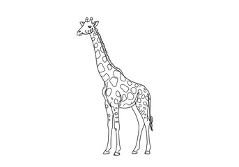  Giraffe Standing Illustration in Black and White Outline Style