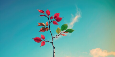 Poster - Vibrant Tree Branch with Red and Green Leaves Against Blue Sky Nature Background Perfect for Seasonal and Environmental Themes