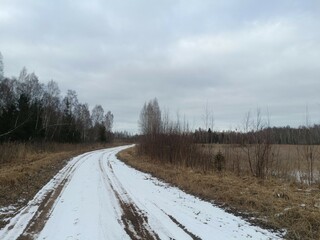 Wall Mural - Road in forest in Siauliai county during cloudy winter day. Oak and birch tree woodland. Cloudy day with white clouds in sky. Bushes are growing in woods. Sandy road. Nature. Winter season. Miskas.