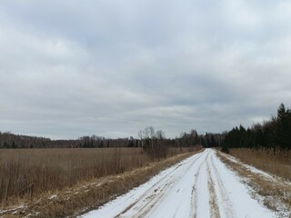 Wall Mural - Road in forest in Siauliai county during cloudy winter day. Oak and birch tree woodland. Cloudy day with white clouds in sky. Bushes are growing in woods. Sandy road. Nature. Winter season. Miskas.