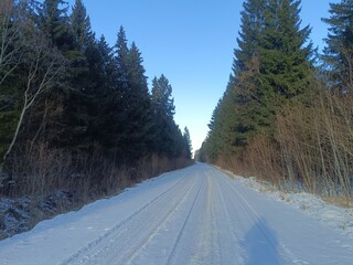 Wall Mural - Road in forest in Siauliai county during sunny winter day. Oak and birch tree woodland. Sunny day with white clouds in sky. Bushes are growing in woods. Sandy road. Nature. Winter season. Miskas.